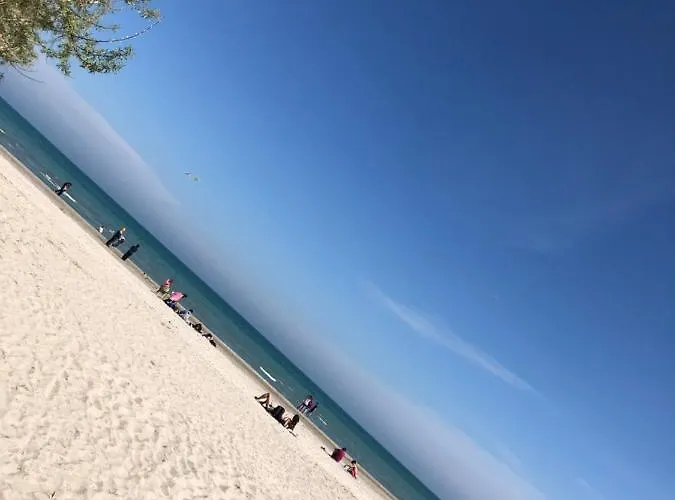 North Spa&pools Alezzibeach * ナボダリ